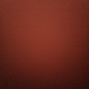 Meet your Posher, Shawn